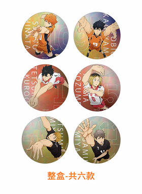 【日谷】次元汇日谷 排球少年TOHO 集换式闪徽章盲盒 6pcs