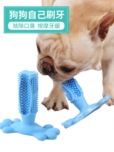 CHUKCHI宠物狗狗玩具耐咬清洁磨牙幼犬金毛边牧玩具磨牙牙刷