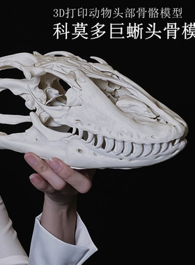 3D打印高精度动物骨骼树脂摆件