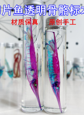 纯手工透明骨骼标本鱼类摆件收藏