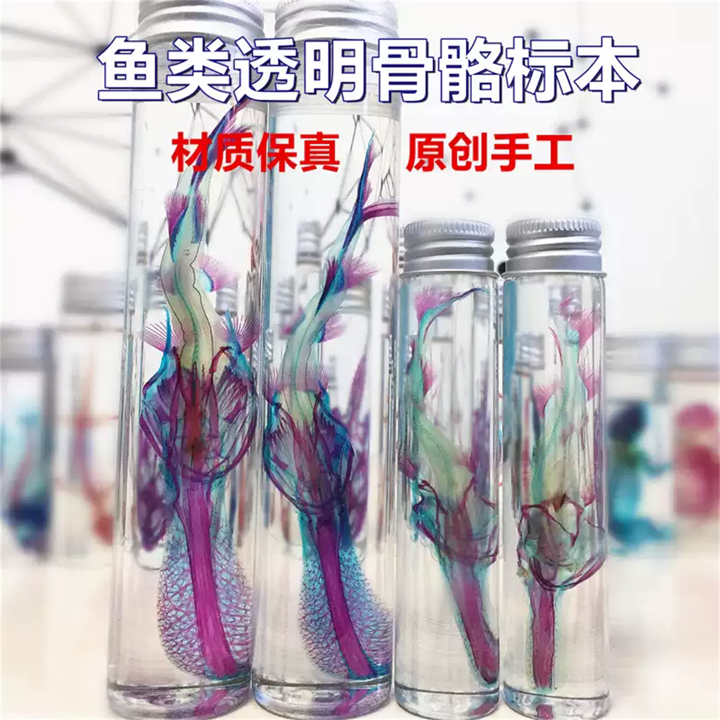 标本纯手工摆件教学礼物装饰收藏