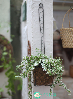 ZAKKA手编网格日式金属收纳壁挂篮花盆花篮装饰INS风长柄勺子