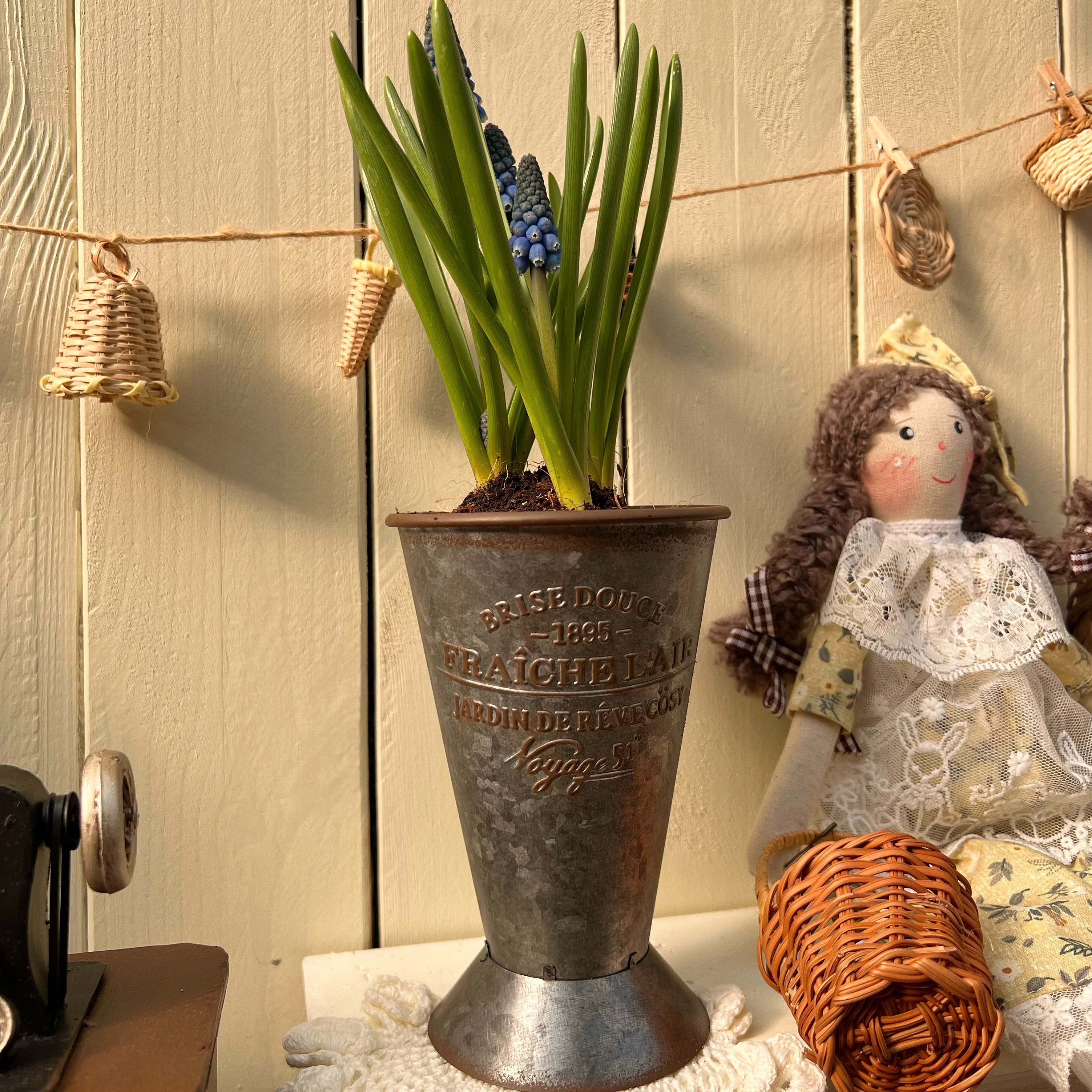 酒杯造型花盘,家居饰品,花盆,淘宝优惠券,粉丝福利购,淘宝优惠卷