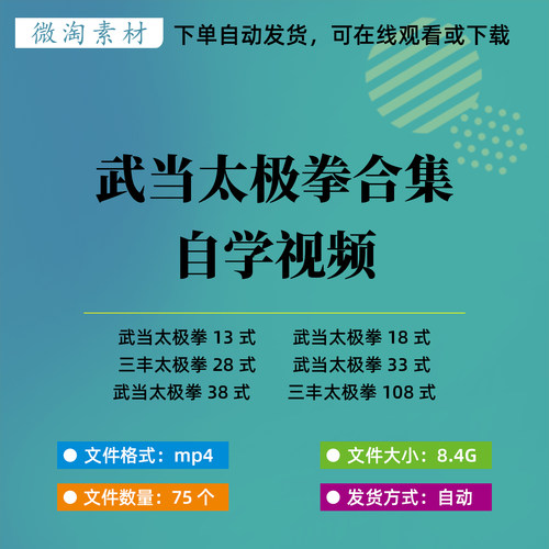 武当太极拳13式18式28式33式38式武当三丰太极拳108式自学视频