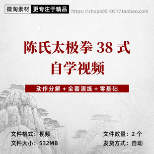 陈氏太极拳三十八式 太极拳38式 太极拳自学视频教程陈式