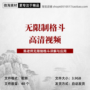 陈鹤皋无限制格斗高清视频防身格斗应用