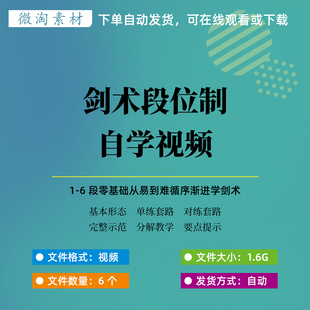 剑术剑法1-6段视频教程零基础自学传统武术剑术套路健身
