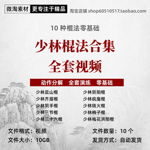 少林棍术合集视频全套少林武术阴手棍震山棍烧火棍齐眉棍基础入门