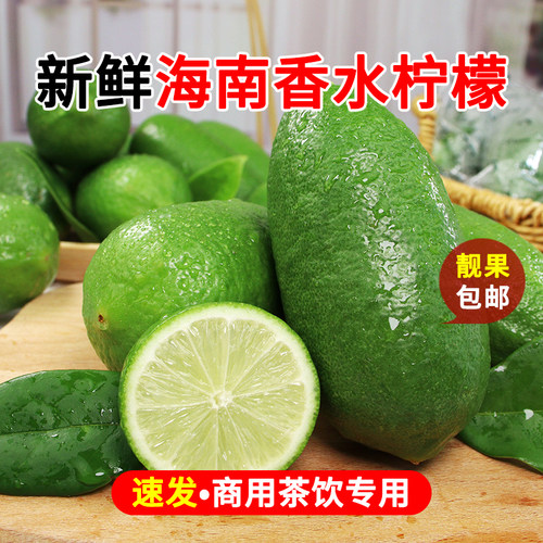 新鲜香水柠檬奶茶店专用香味浓郁