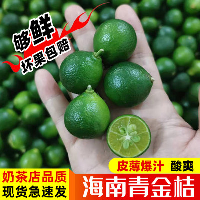 奶茶店/椰子鸡用正宗海南小青柠