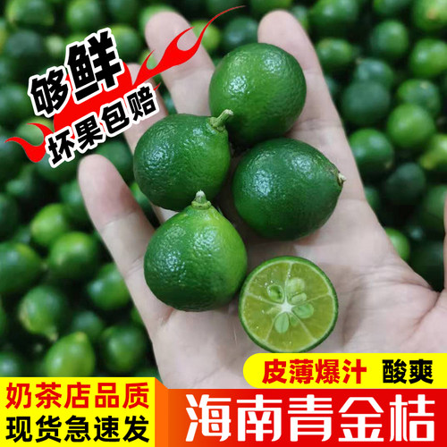 奶茶店/椰子鸡用正宗海南小青柠
