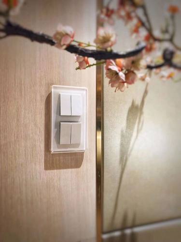 德国德国吉徕GIRA五孔插座开关