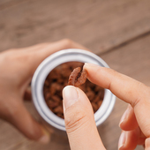 临安山核桃仁2025新货袋装 小核桃临安山核桃仁原香味坚果零食