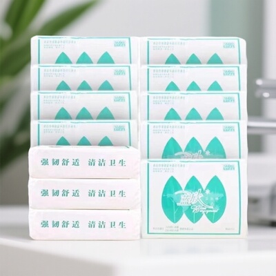 双灯蓝欣精品450卫生纸