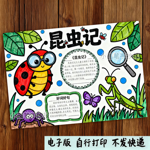 522-昆虫记主题画手抄报模板电子版好书推荐阅读名著儿童绘画线稿