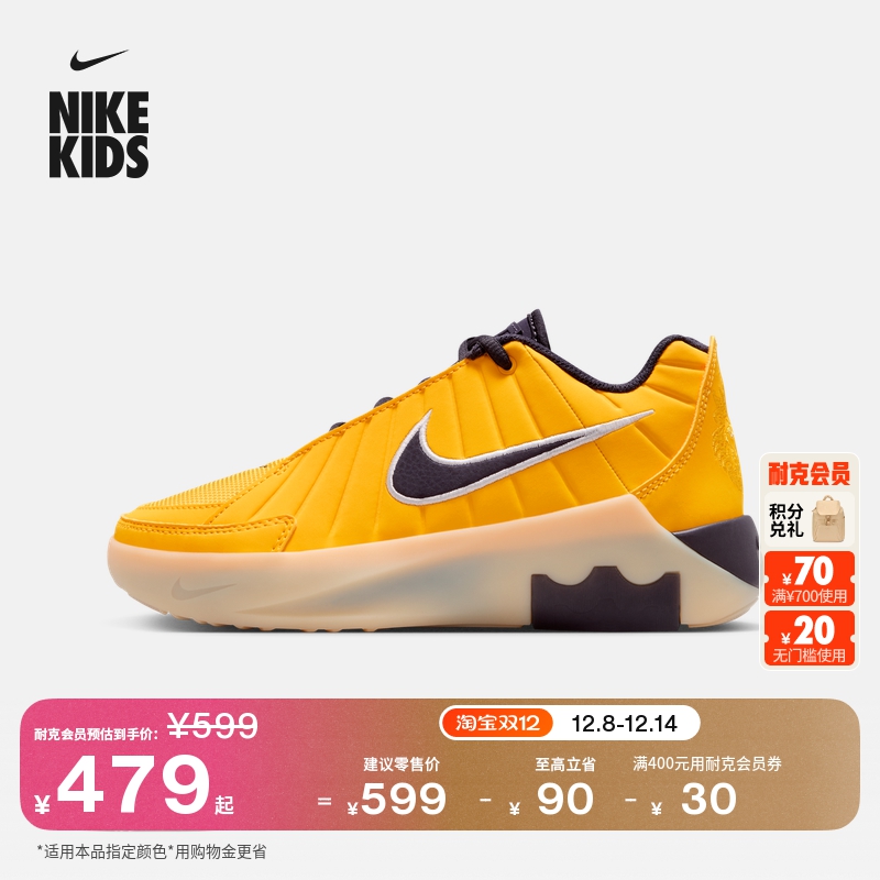 耐克詹姆斯大童篮球鞋冬新款男女童NIKE LEBRON WITNESS 9 HV2270