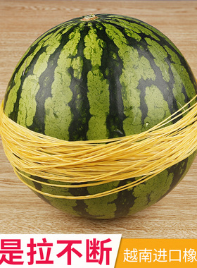 橡皮筋乳胶圈一次性高弹力橡皮筋扎菜用的收纳捆钱办公黄色牛皮筋