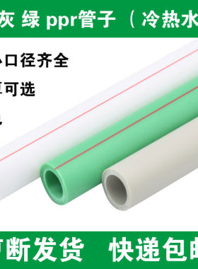 PPR水管配件20-110热熔管