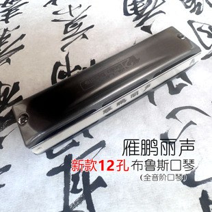 画琴阁主推荐 雁鹏丽声新款十二孔口琴 标准调音 半音阶 复音相同