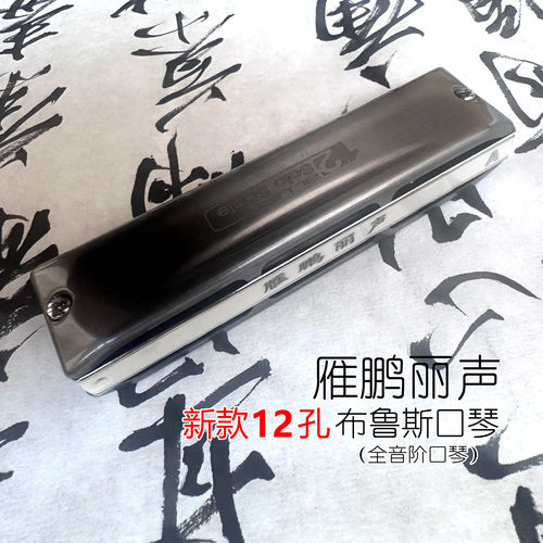 画琴阁主推荐 雁鹏丽声新款十二孔口琴 标准调音 半音阶 复音相同