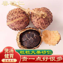 【出口级】正宗阳春春砂仁沙仁阳春特产野生广东砂仁中药养胃500g