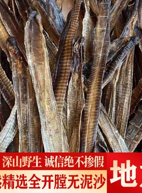 广地龙中药材正品广西产地直发全开整条无泥土野生蚯蚓白颈地龙干