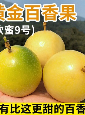现货包邮黄金百香果钦蜜9号新鲜热带水果现摘现发