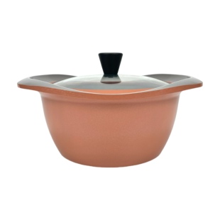 韩国进口roichen汤锅20(灰)/24(粉)/24矮(绿) 电磁炉燃气通用