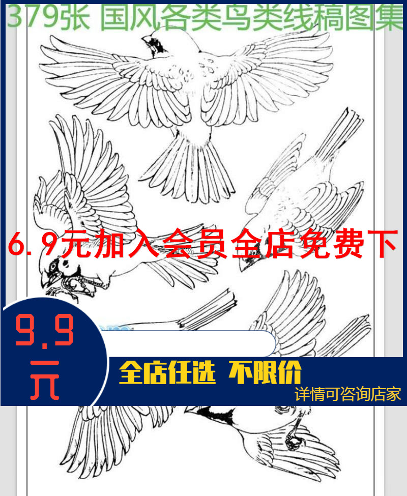 379张 国风各类鸟类线稿图集 华夏风古风素材参考c474