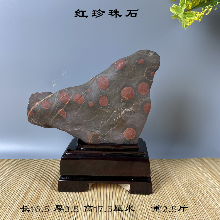 天然奇石原石头摆件红珍珠自然石景观石梅花石家居会所厅堂观赏石