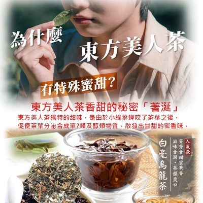 中國台灣東方美人茶澎風茶白毫