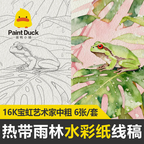 2026画鸭热带雨林动物水彩线稿宝虹艺术家临摹本初学入门填色线描
