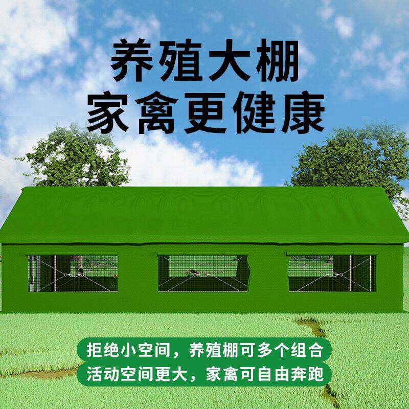 养鸡鸭的大棚子户外大型鸡棚鸡笼家用鸡窝棚养羊带塑料膜鸽子帐篷