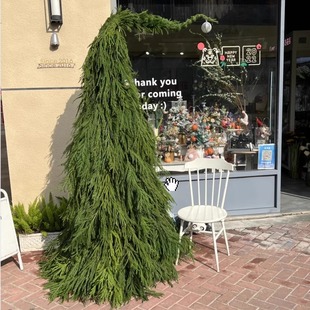 手工diy歪脖子圣诞树天然鲜切龙柏松树枝条诺贝松天竺少女装饰