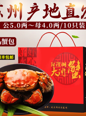 活蟹苏州官方阳澄精品大闸蟹鲜活特大螃蟹公5.0两母蟹4.0两礼盒装