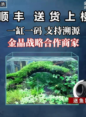 金晶五线超白缸玻璃定制大小型水族鱼缸定做客厅造景水草缸乌龟缸