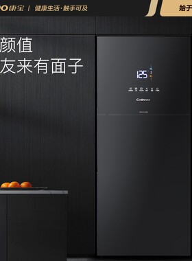 XDZ175-LC5B消毒柜家用立式厨房消毒碗柜客厅黑色高温无菌