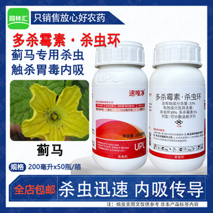 UPL速唯净33%多杀霉素·杀虫环可分散油悬浮剂黄瓜蓟马农药杀虫剂