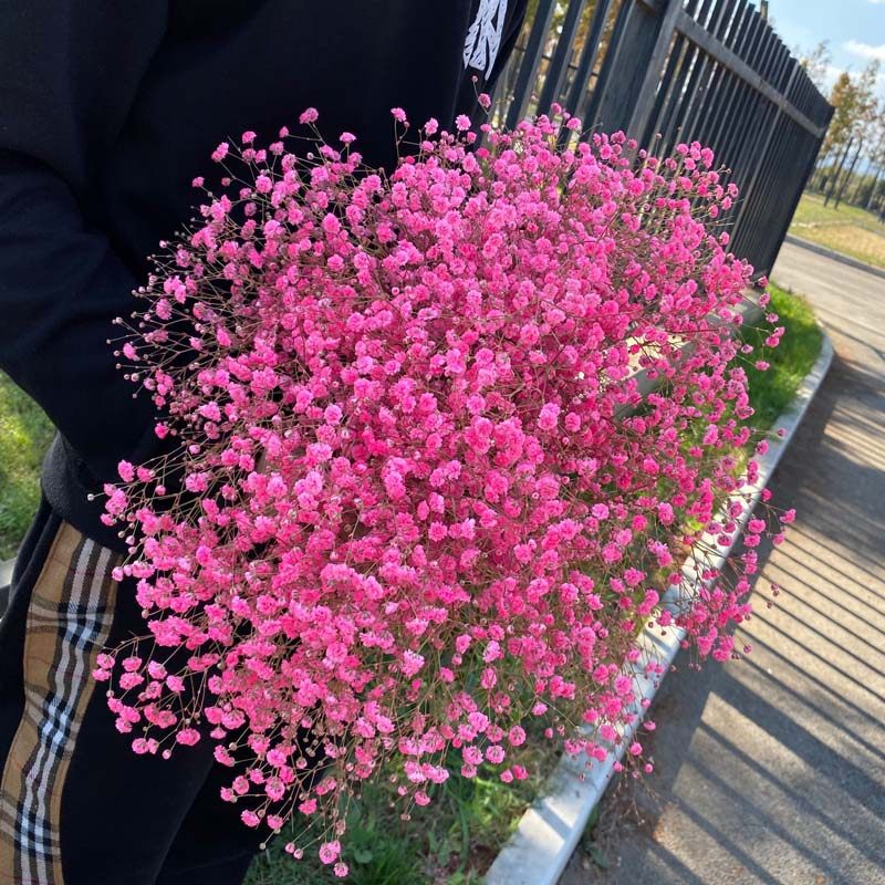 云南干花真花风干超大家居摆设图片
