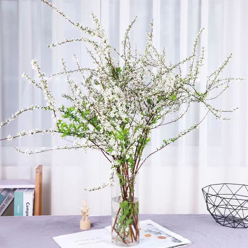 雪柳鲜枝干枝支水培植物冬季鲜花