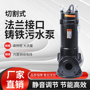 无堵塞式 家用新款 污水泵排污泵泥浆泵220v380v沼气池化粪池抽粪便