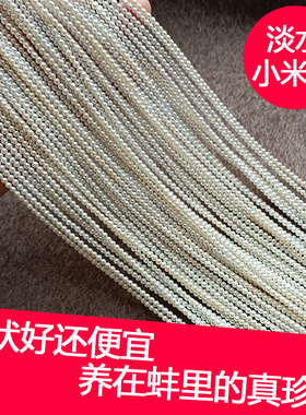 诸暨天然真小米珠散珠淡水珍珠半成品diy项链2-3-4mm迷你有孔批发