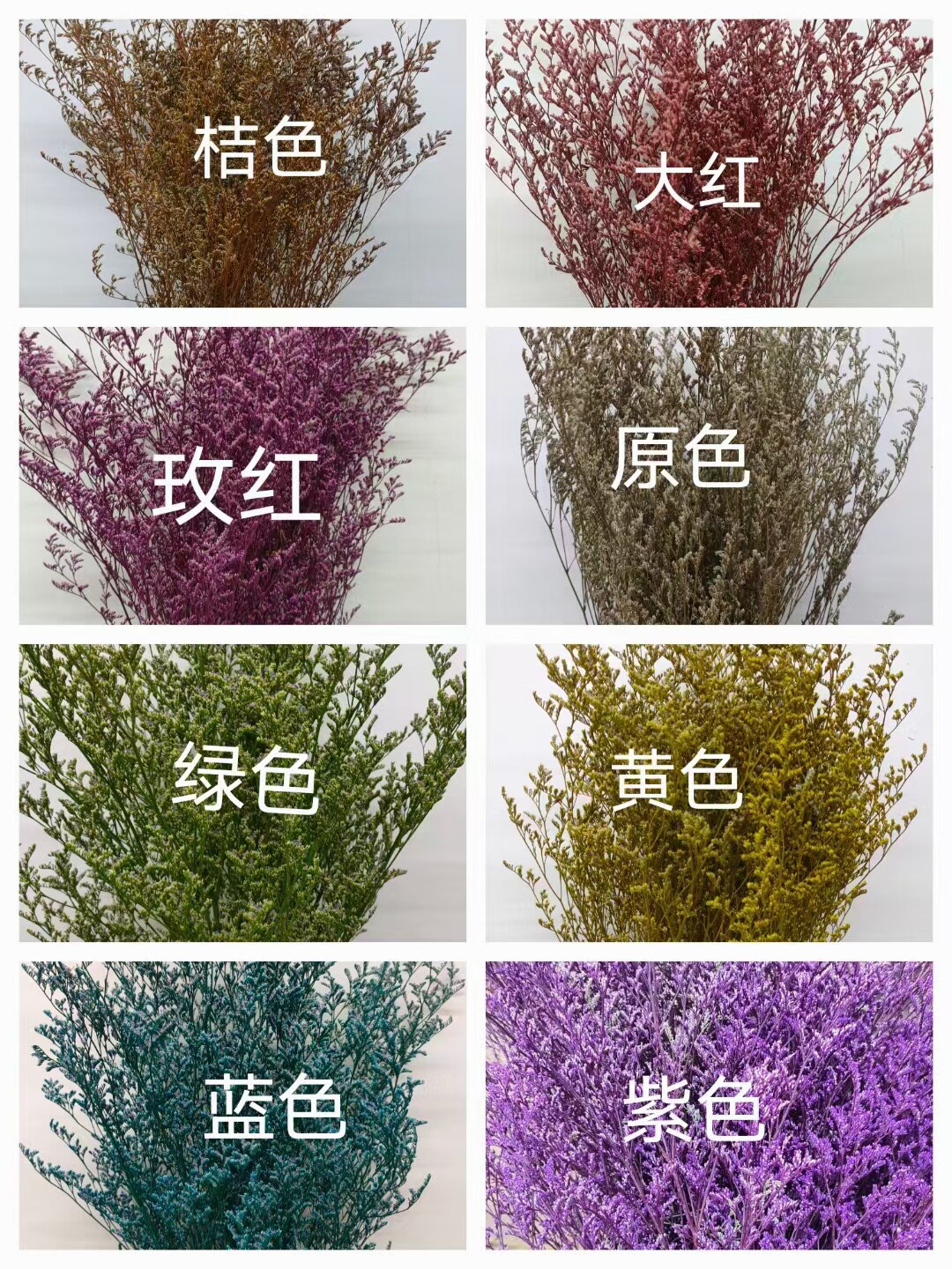永生 水晶草 情人草 天然干花客厅摆放花艺装饰花束拍摄道具包邮