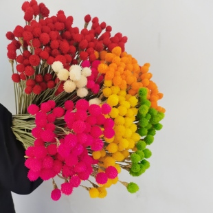 千日红永生花干花红色草莓果真花风干天然森系插花客厅装饰高级感