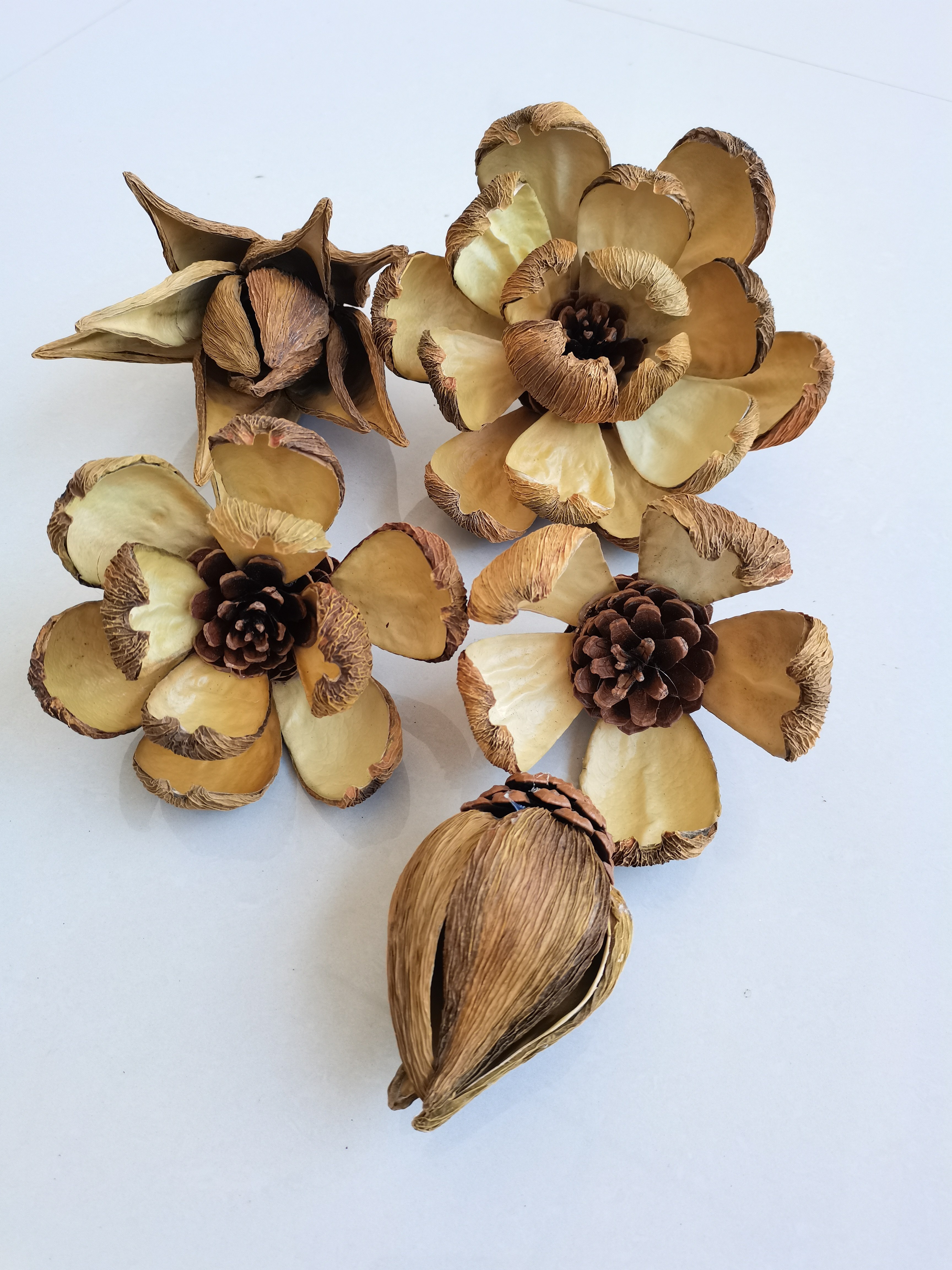 油画莲手工干花真花果壳花苞油画牡丹小众永生花花苞禅意装饰摆件