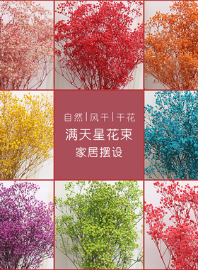 摆放挂件自然风干厂家包邮永生花