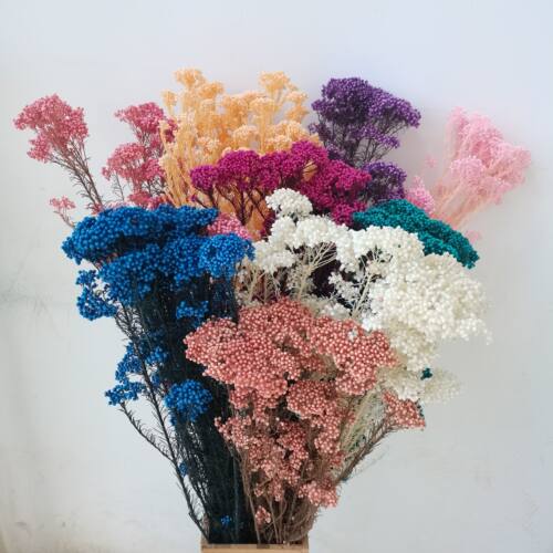 永生小米花   永生花束  天然植物干花客厅装饰摆放花材包邮