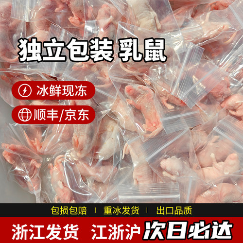 小白鼠红皮乳鼠冰冻高蛋白饲料