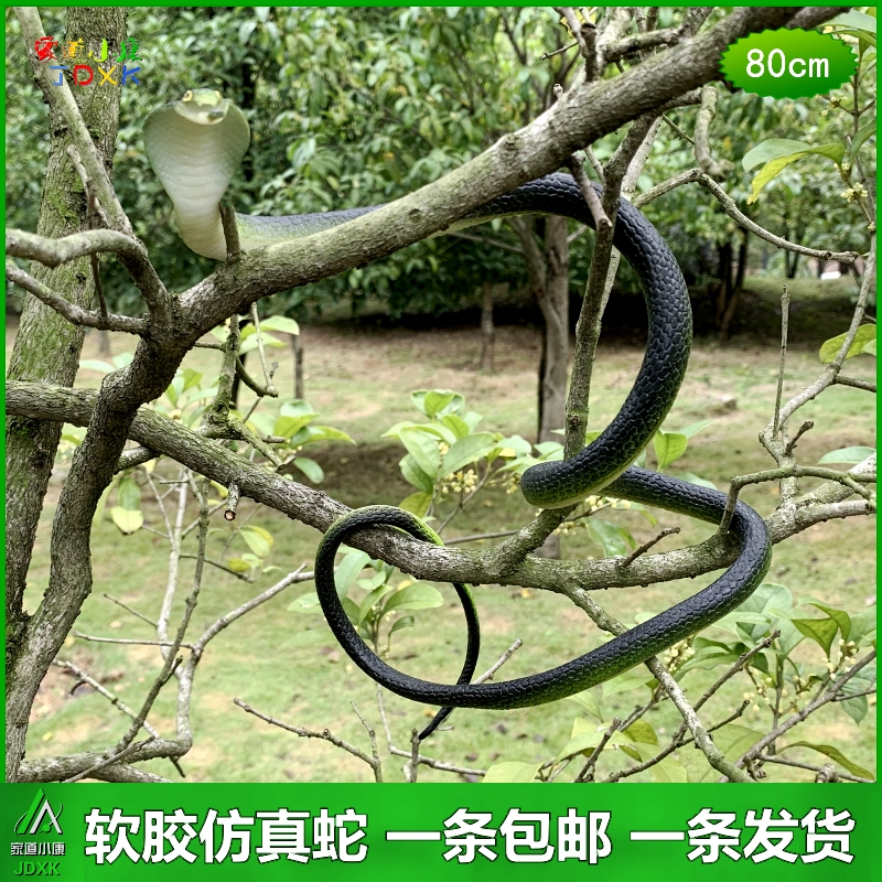 软胶仿真蛇玩具：儿童安全玩偶，