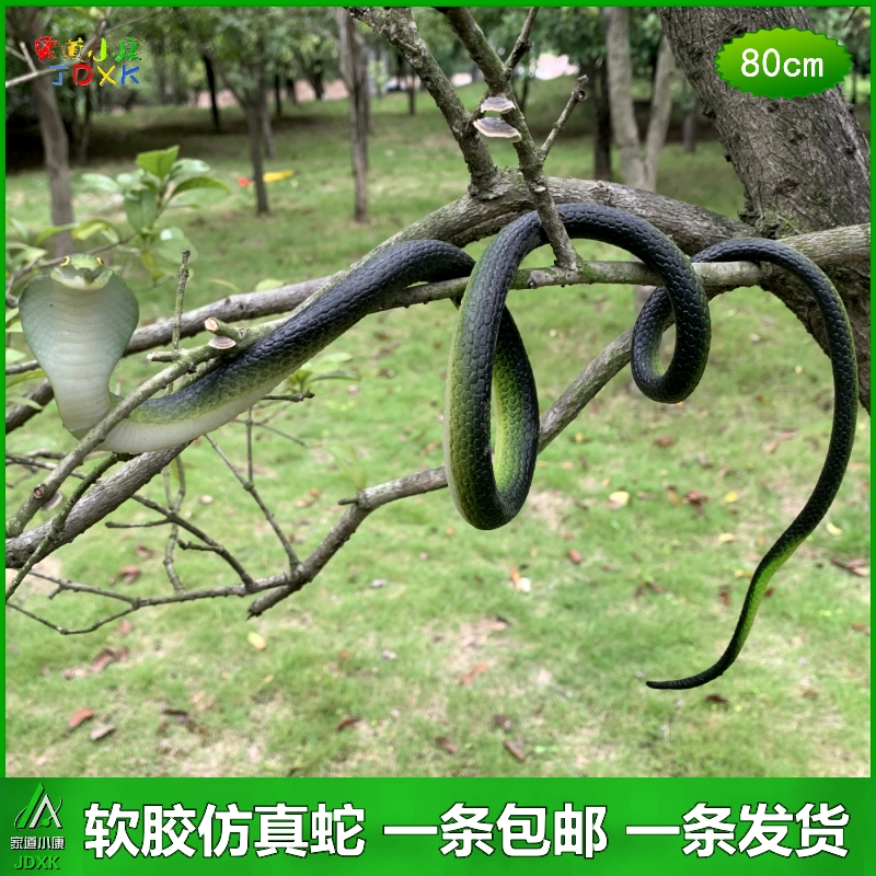 软胶仿真蛇眼镜蛇包邮